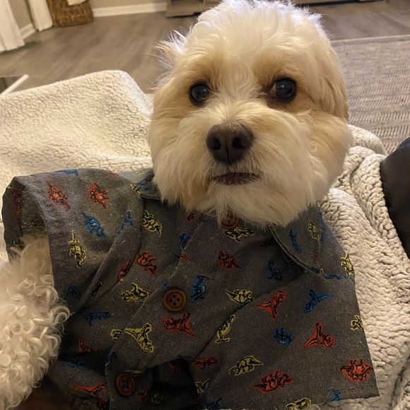 Meet your Posher, Michelle - Picture 1 of 1